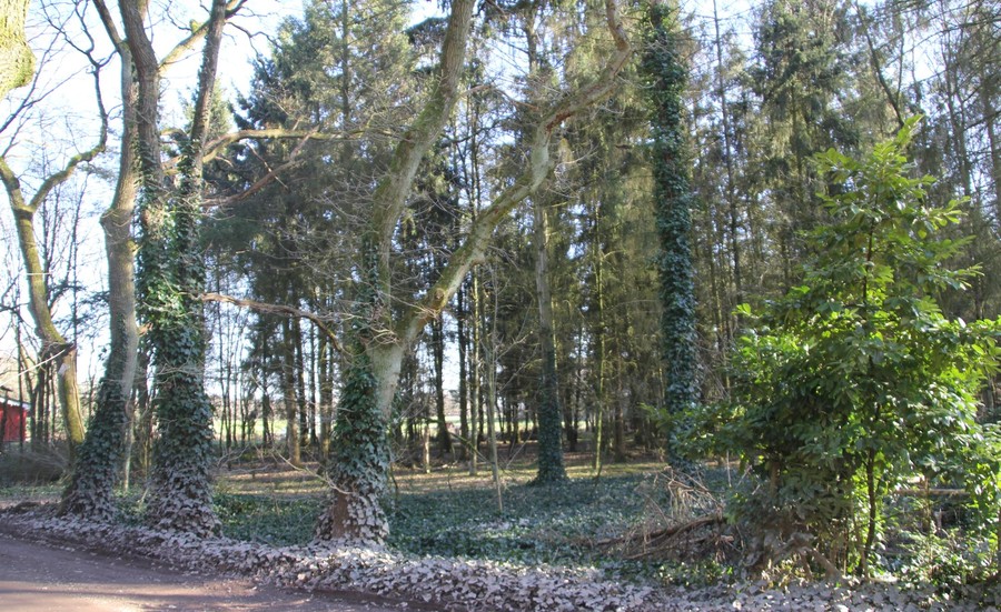 Recreatief terrein in Essen